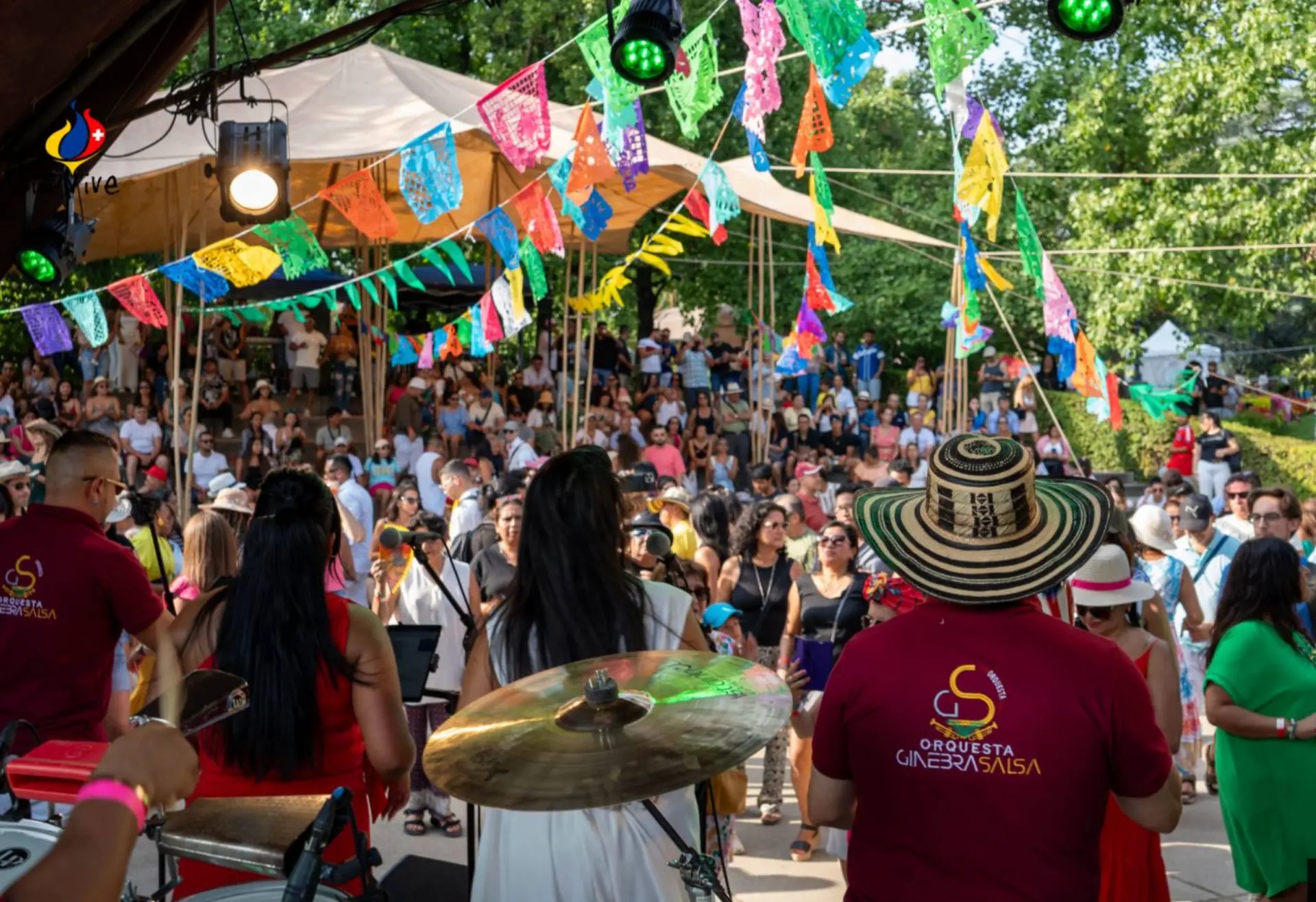 Le Vive Festival passé de 8 000 à 15 000 visiteurs